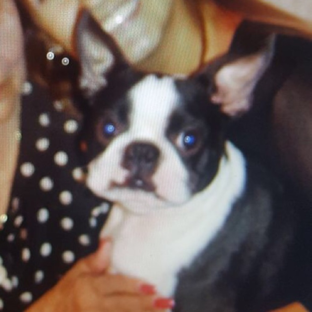 Meet your Posher, Patty